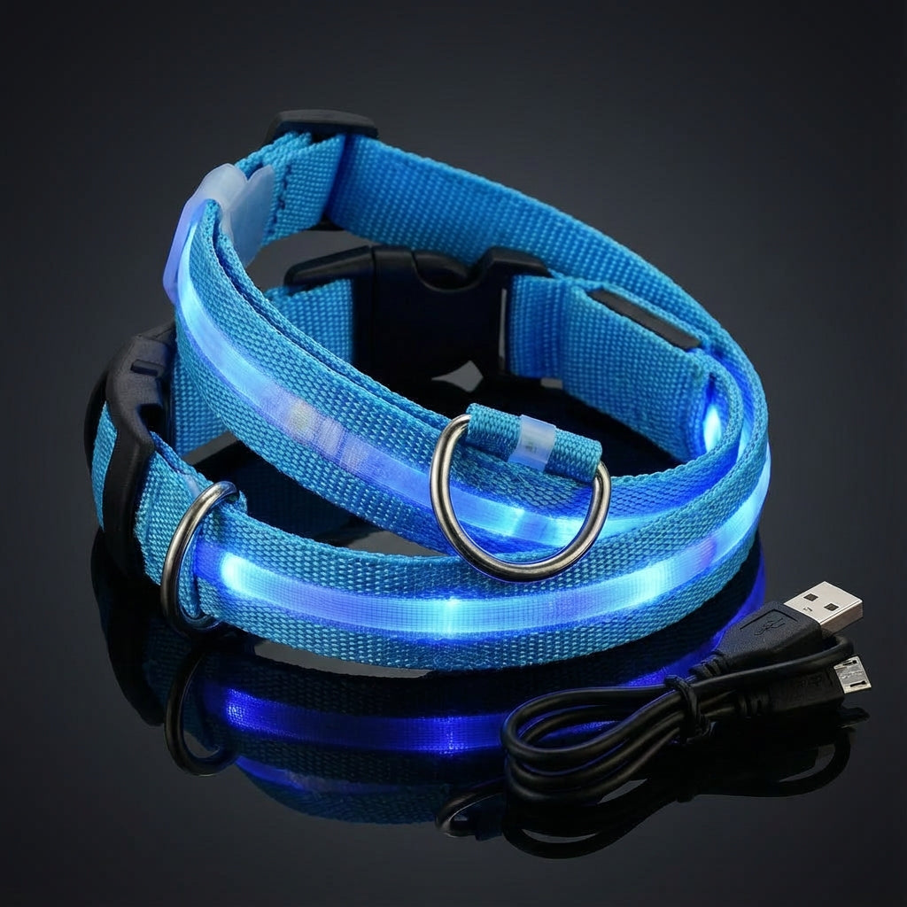 Collier Lumineux LED