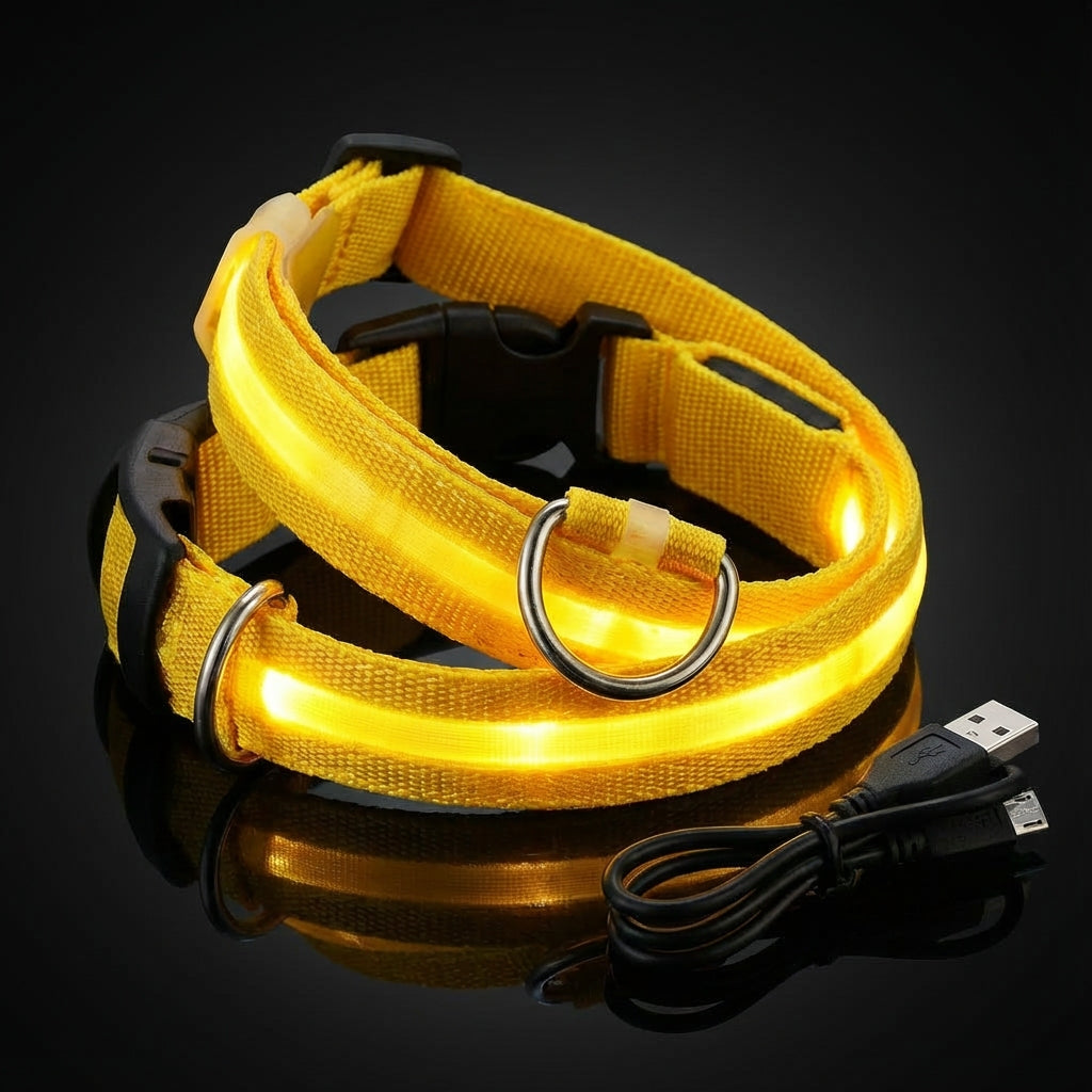 Collier Lumineux LED