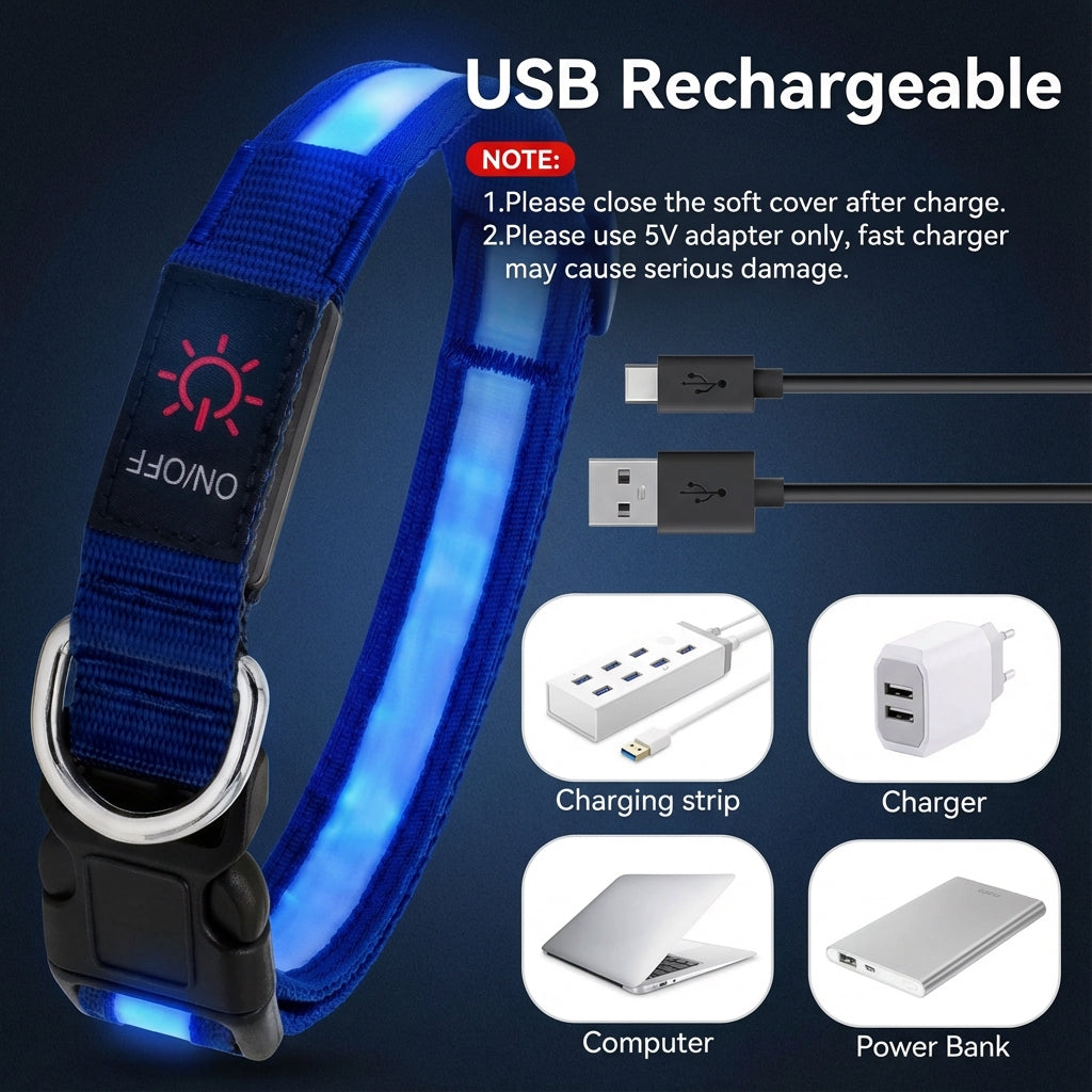 Collier Lumineux LED